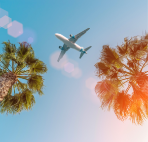 Airplane in the sky flying over palm trees, cheap vacation ideas